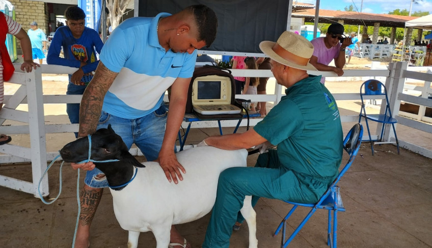 ASN Rio Grande do Norte - Agência Sebrae de Notícias