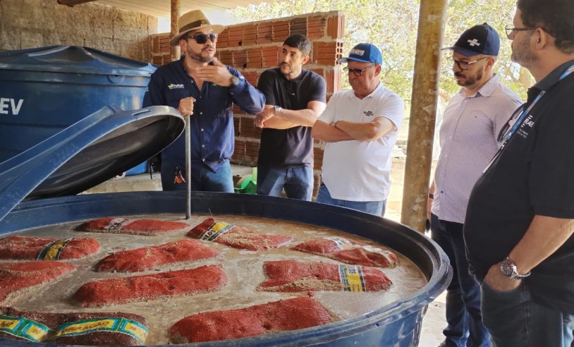 ASN Rio Grande do Norte - Agência Sebrae de Notícias