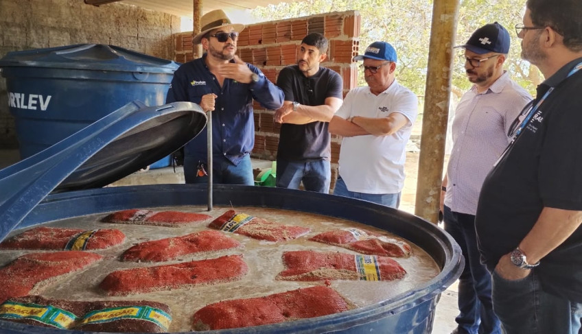 ASN Rio Grande do Norte - Agência Sebrae de Notícias