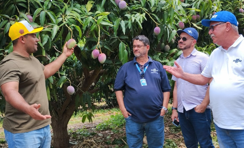 ASN Rio Grande do Norte - Agência Sebrae de Notícias