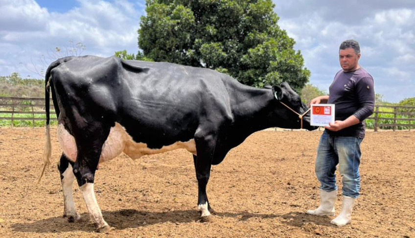 ASN Rio Grande do Norte - Agência Sebrae de Notícias