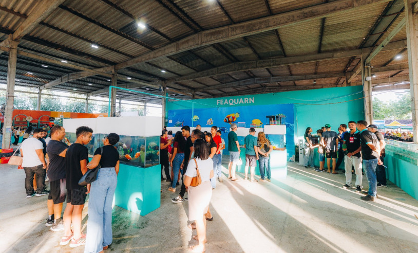 ASN Rio Grande do Norte - Agência Sebrae de Notícias