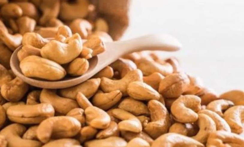 ASN Rio Grande do Norte - Agência Sebrae de Notícias