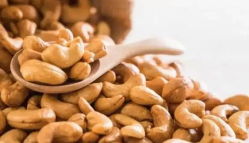 ASN Rio Grande do Norte - Agência Sebrae de Notícias