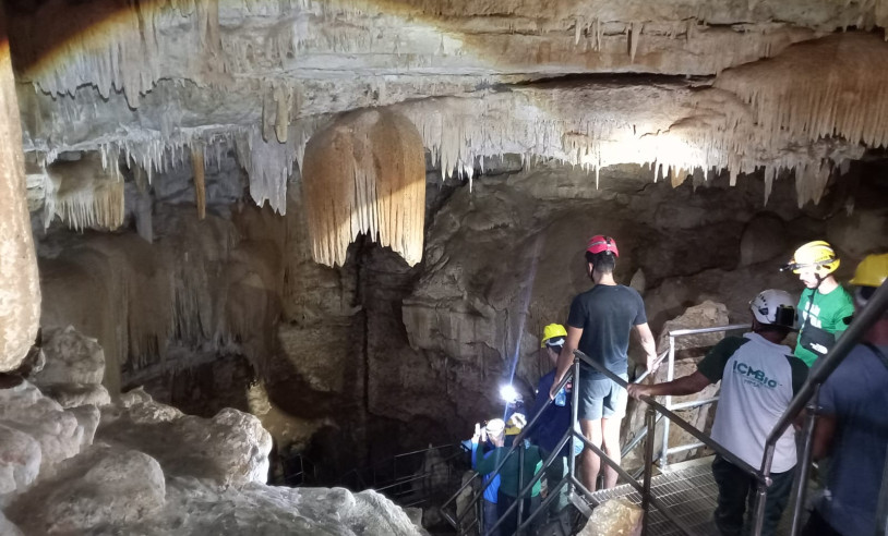 ASN Rio Grande do Norte - Agência Sebrae de Notícias