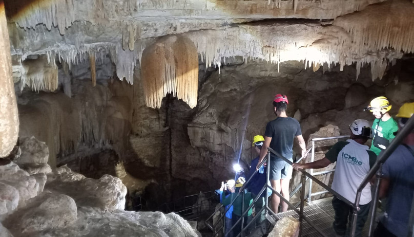 ASN Rio Grande do Norte - Agência Sebrae de Notícias