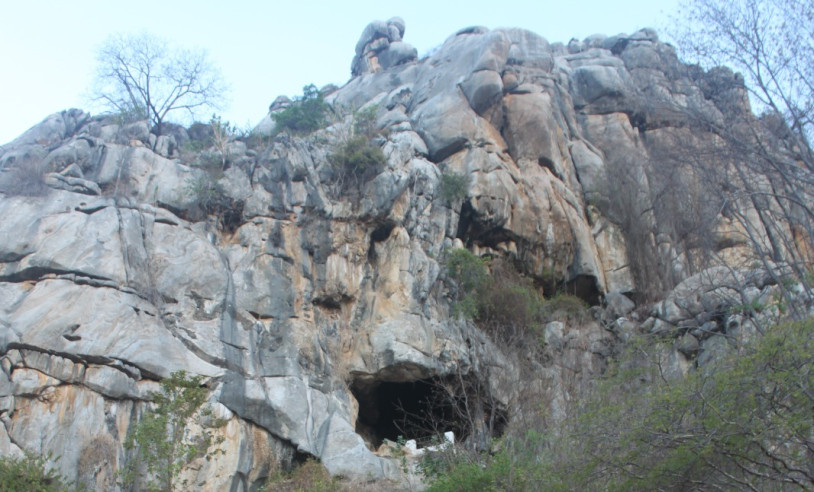 ASN Rio Grande do Norte - Agência Sebrae de Notícias