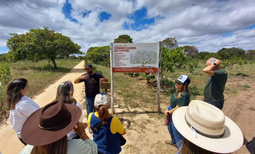 ASN Rio Grande do Norte - Agência Sebrae de Notícias