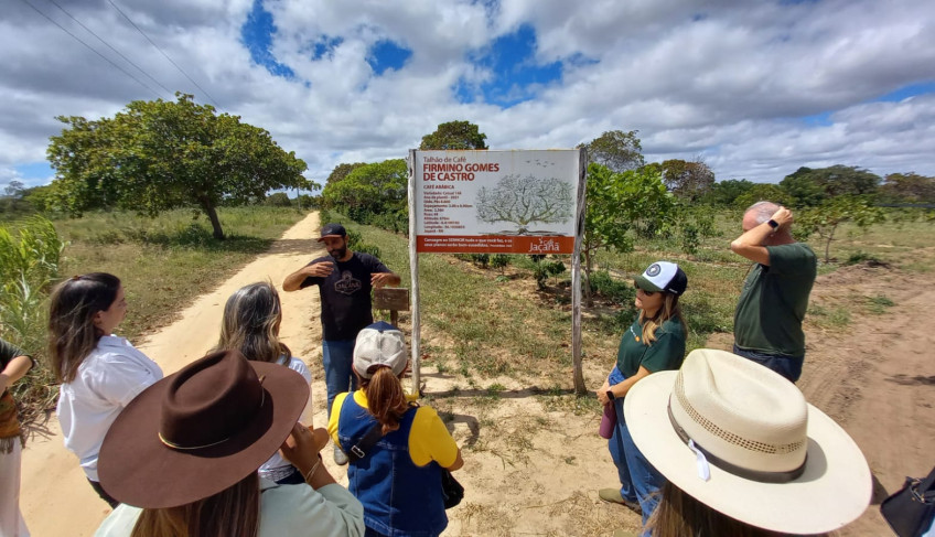 ASN Rio Grande do Norte - Agência Sebrae de Notícias