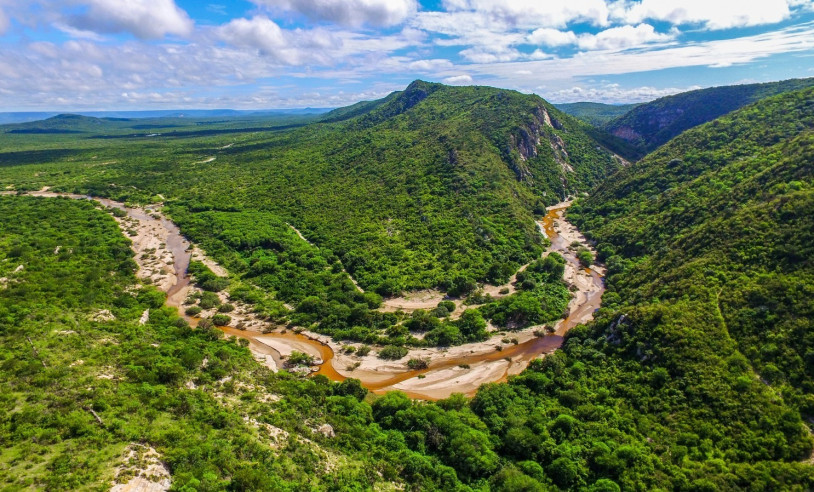 ASN Rio Grande do Norte - Agência Sebrae de Notícias