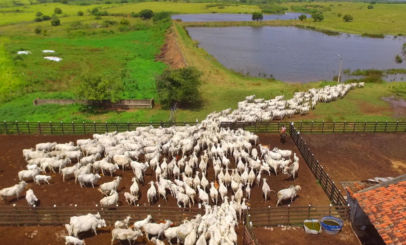 ASN Rio Grande do Norte - Agência Sebrae de Notícias