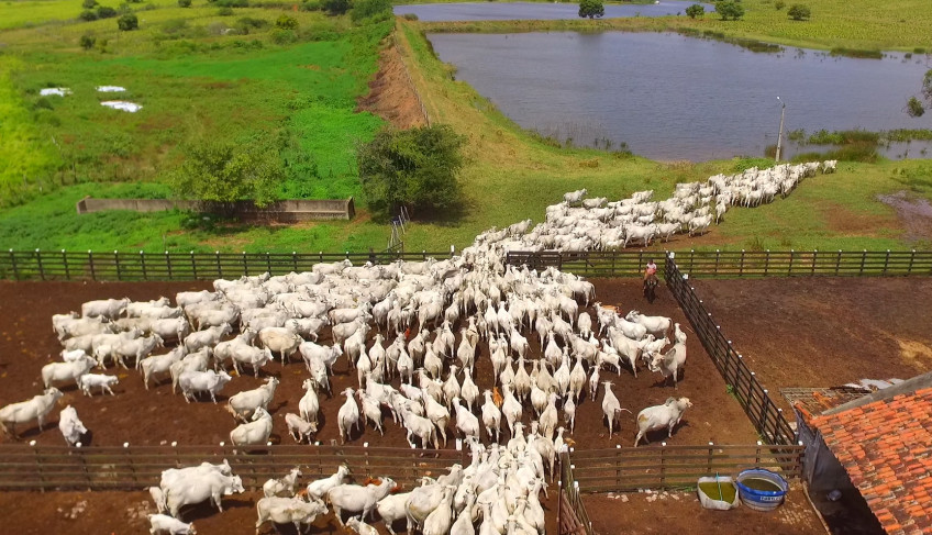 ASN Rio Grande do Norte - Agência Sebrae de Notícias