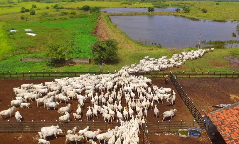 ASN Rio Grande do Norte - Agência Sebrae de Notícias
