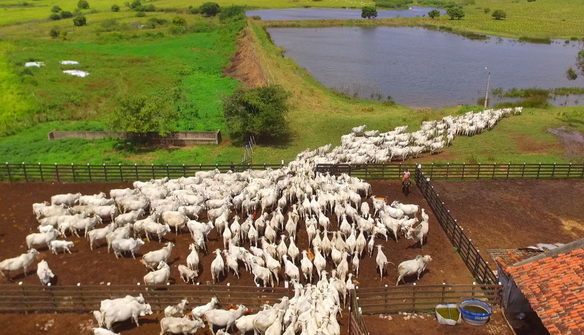 ASN Rio Grande do Norte - Agência Sebrae de Notícias