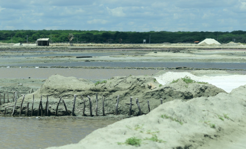 ASN Rio Grande do Norte - Agência Sebrae de Notícias