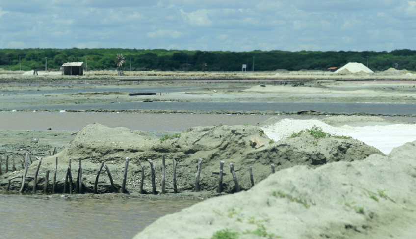 ASN Rio Grande do Norte - Agência Sebrae de Notícias