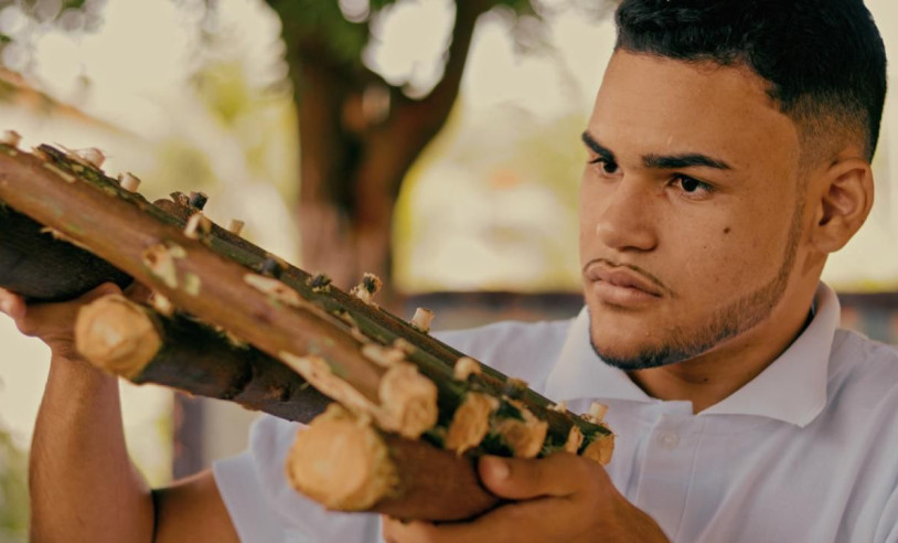 ASN Rio Grande do Norte - Agência Sebrae de Notícias