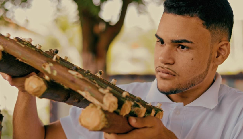 ASN Rio Grande do Norte - Agência Sebrae de Notícias