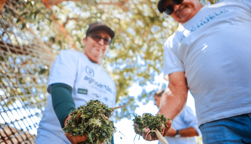 ASN Rio Grande do Norte - Agência Sebrae de Notícias