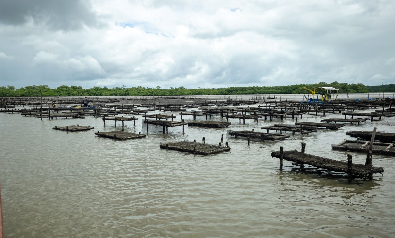 ASN Rio Grande do Norte - Agência Sebrae de Notícias