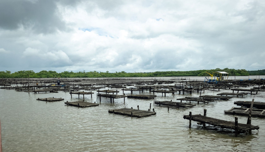 ASN Rio Grande do Norte - Agência Sebrae de Notícias