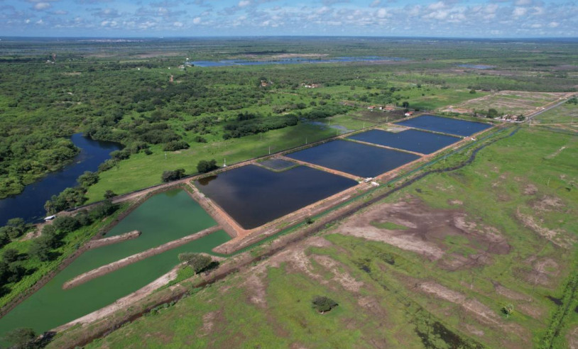 ASN Rio Grande do Norte - Agência Sebrae de Notícias