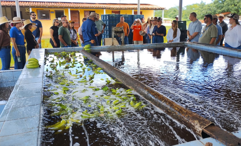 ASN Rio Grande do Norte - Agência Sebrae de Notícias