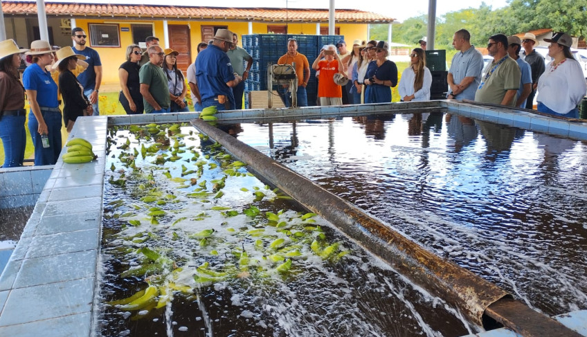 ASN Rio Grande do Norte - Agência Sebrae de Notícias