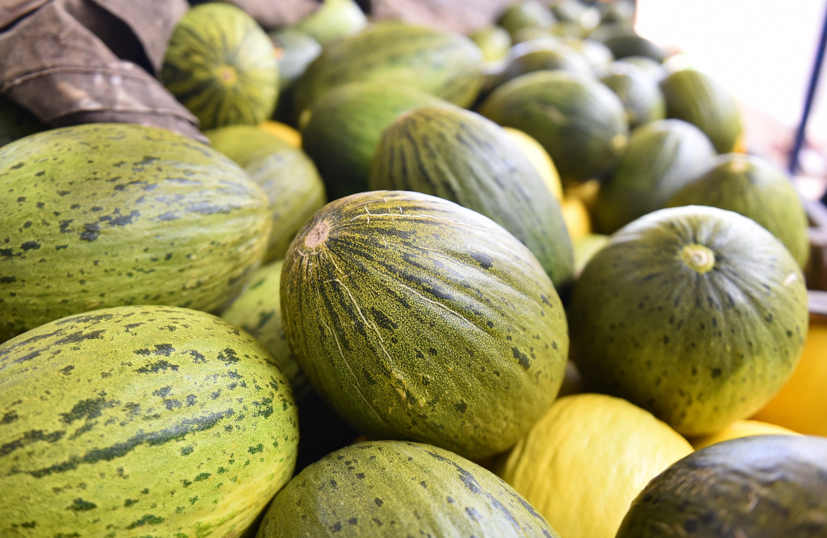 No ano passado, foram exportadas 78,6 mil toneladas a mais da fruta que em 2018