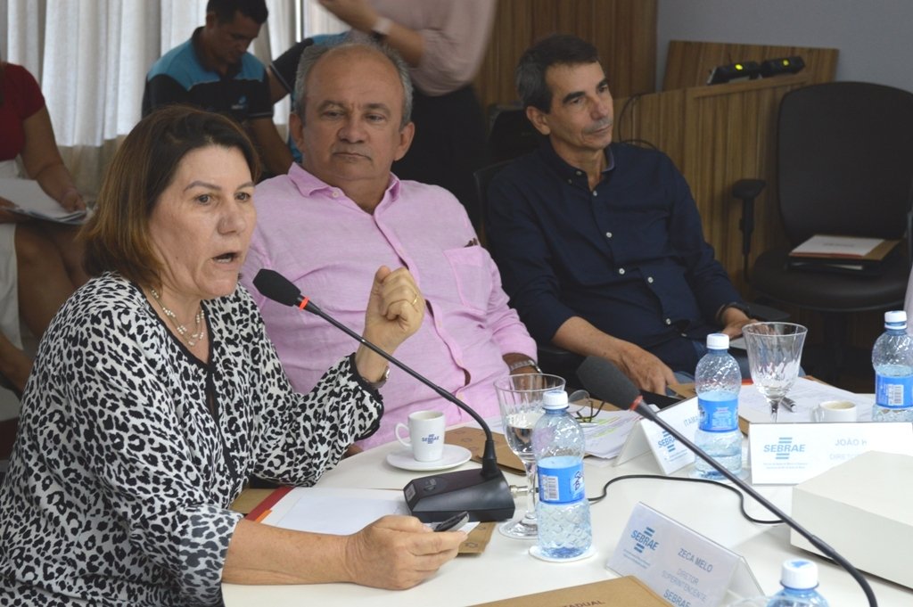 Professora Angela Paiva apresentou projeto do parque tecnol&oacute;gico