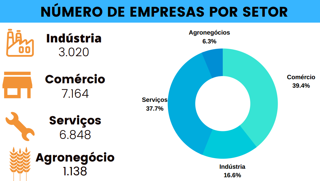 Atendimentos por segmento de atividades