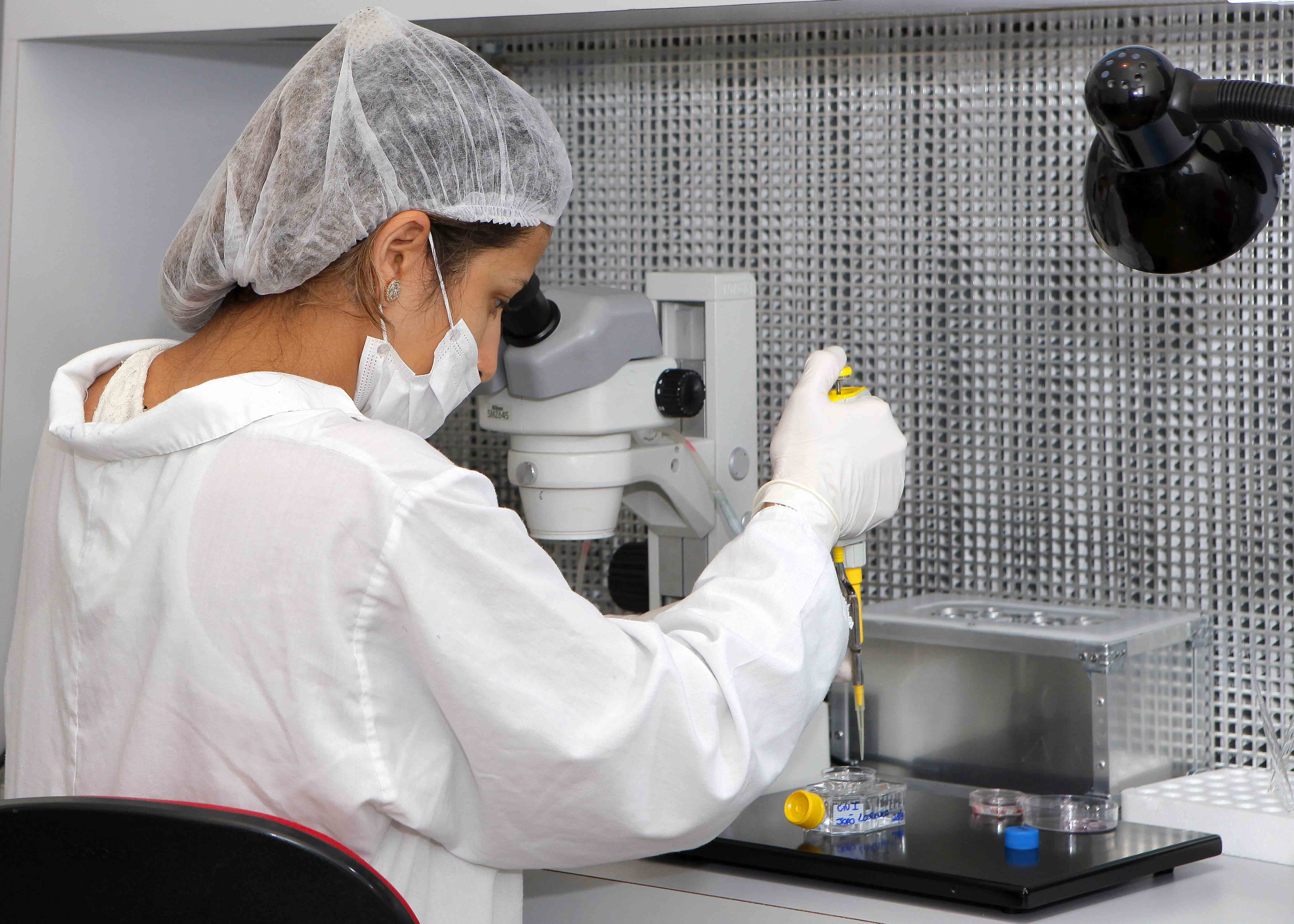 O projeto torna acess&iacute;vel aos produtores a t&eacute;cnica da fertiliza&ccedil;&atilde;o in vitro