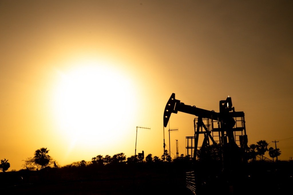 Campo terrestre em Canto do Amaro, no Oeste Potiguar