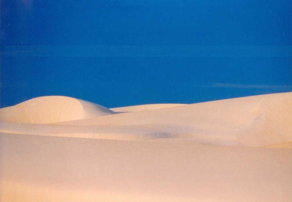 A ideia &eacute; estimular pacotes para atrativos dentro pr&oacute;prio estado, como a reserva Ponta do Tubar&atilde;o, em Diogo Lopes