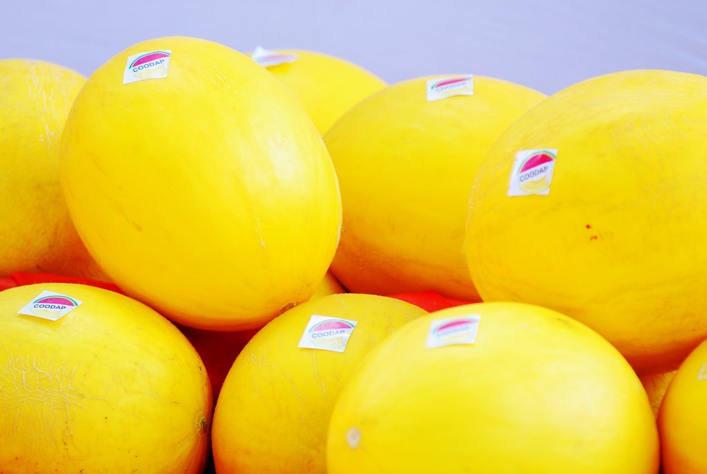 Os mel&otilde;es lideram as exporta&ccedil;&otilde;es do ano do Rio Grande do Norte