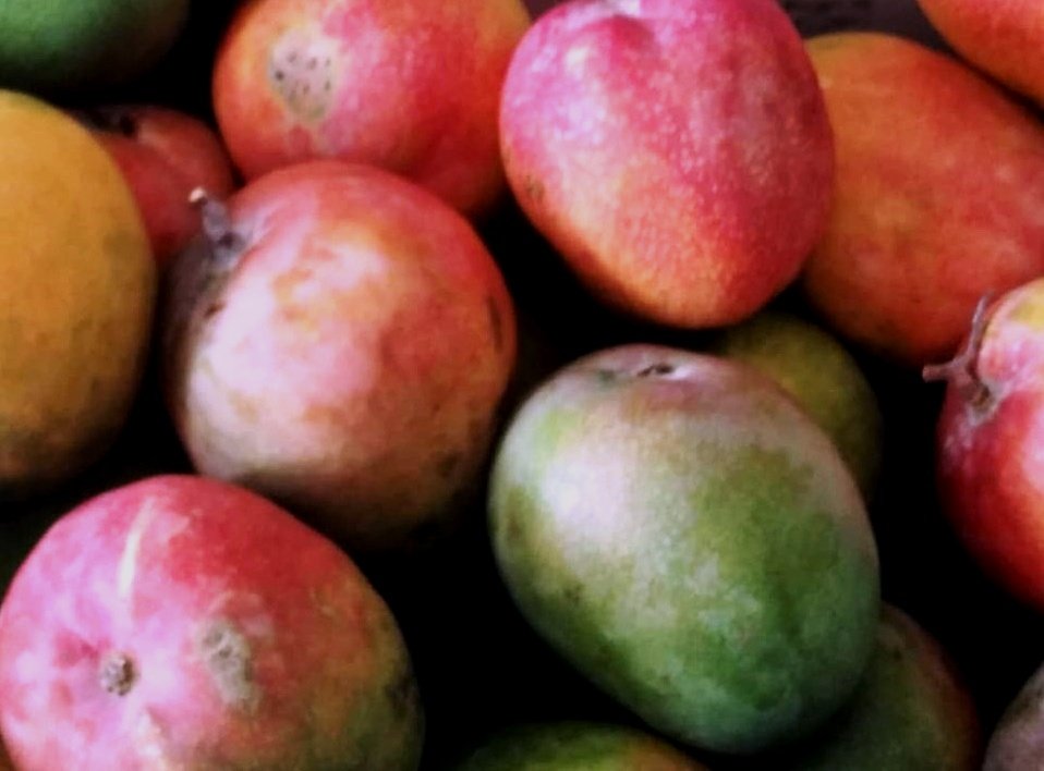 Itens produzidos por agricultores de v&aacute;rios munic&iacute;pios estar&atilde;o reunidos na central de vendas