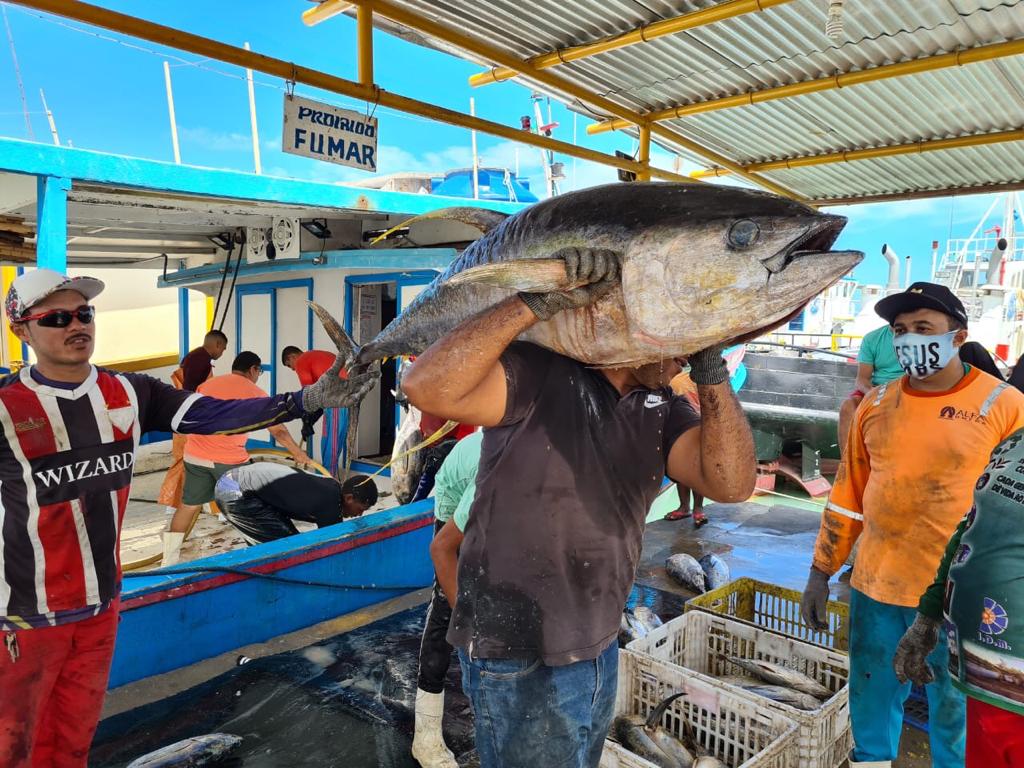 Produção de atum em Areia Branca vai deslanchar em 2021