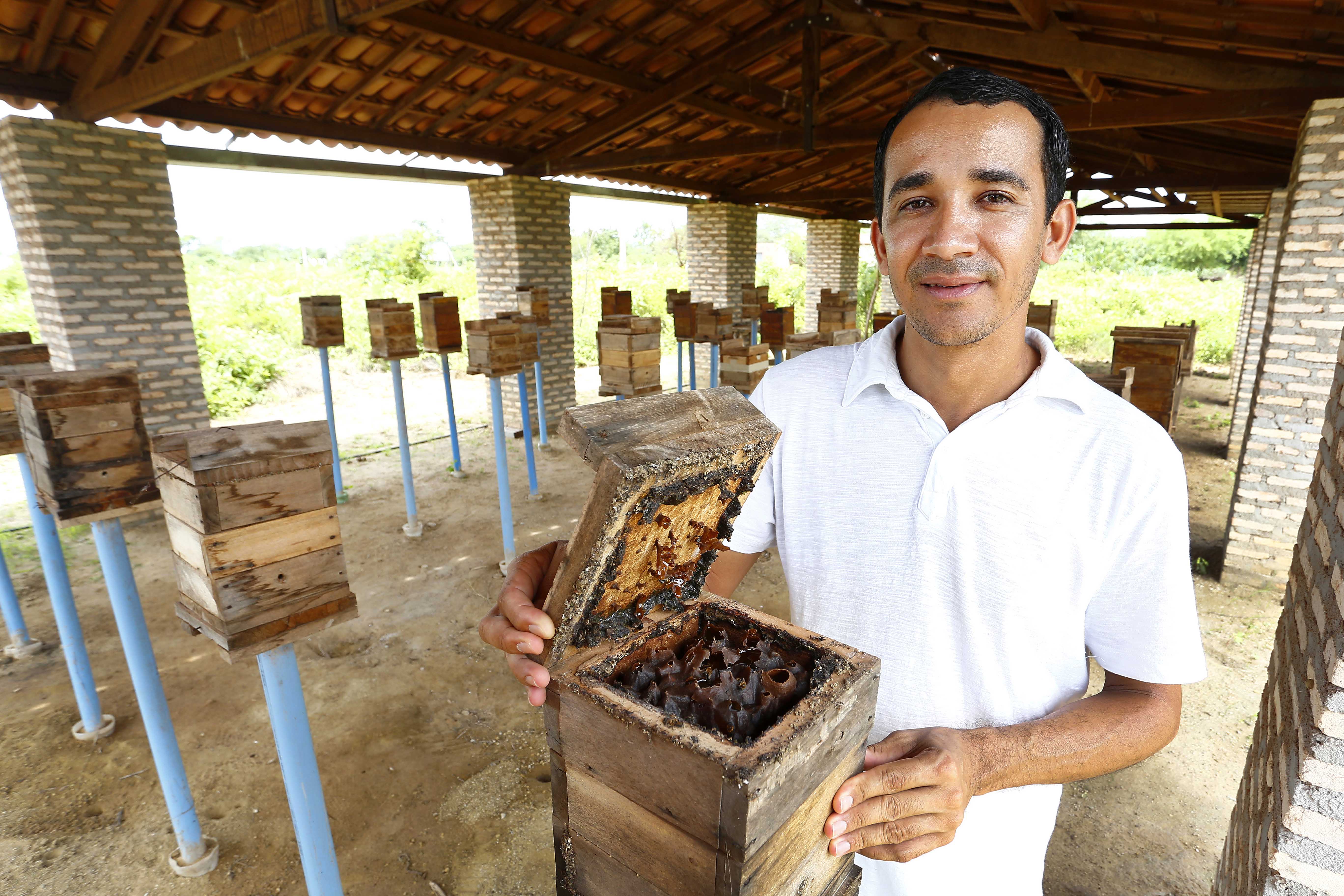 Presidente da JOCA, Francisco Melo: fortalecer a cadeia produtiva